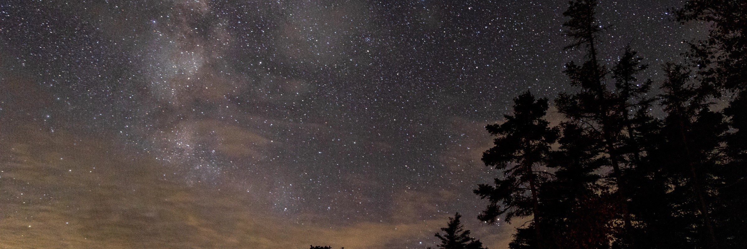 A star-filled night sky above silhouetted trees